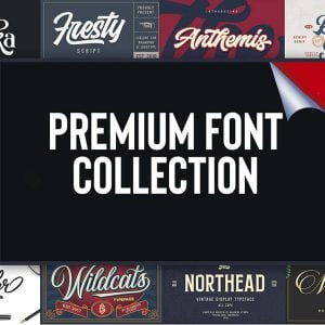 Premium Fonts’ Pack for Developers