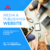 Media & Publishing Website